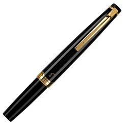 Pilot E95s Fountain Pen, Black Barrel & Gold Accents -Pineider shop 0dd696b6 8943 5aa6 bafd 888ac80fdfc5 scaled